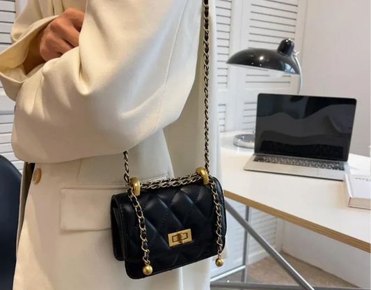 Little luxe - Bagsberry.pk