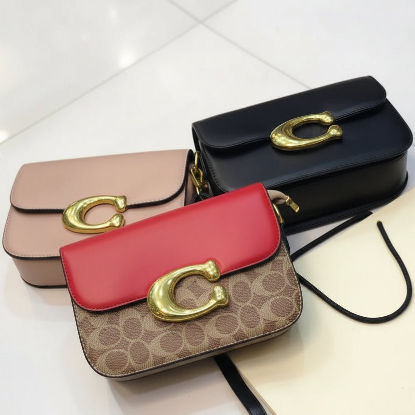 C bag - Bagsberry.pk